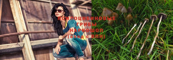 mdpv Дубна