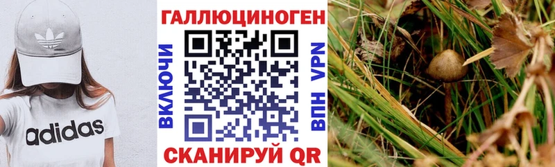 Галлюциногенные грибы ЛСД Боготол